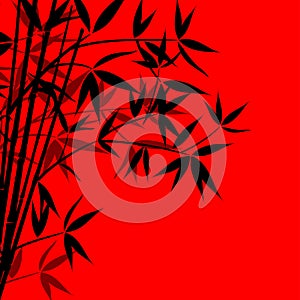 Bamboo background, vector
