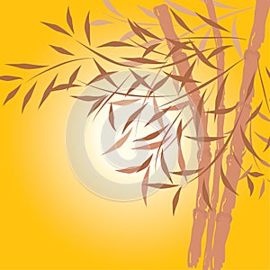 Bamboo background, vector