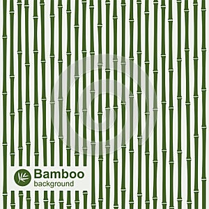 Bamboo background. Vector