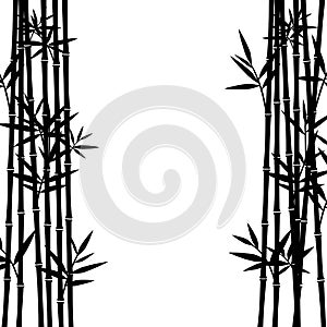 Bamboo background. Vector