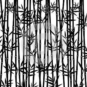 Bamboo background. Vector
