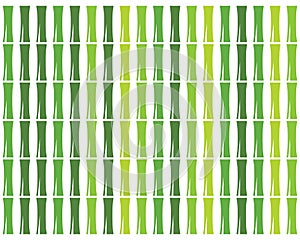 Bamboo background vector