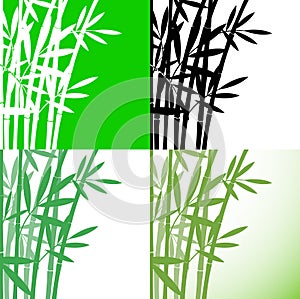 Bamboo Bambus set background, stock vector illustration