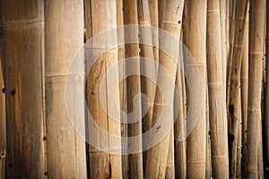 Bamboo barrier