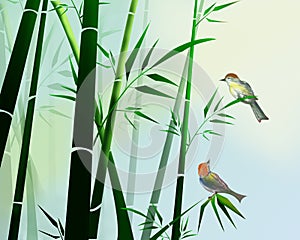Bamboo and birds