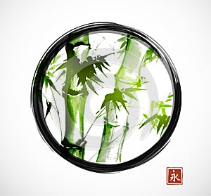 Bamboo in black enso zen circle on white background. Traditional Japanese ink wash painting sumi-e. Sign - eternity.