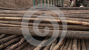 Bamboo, boat , mekong, cambodia, southeast asia