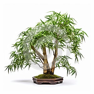 Bamboo Bonsai Set: Uhd Tilt-shift Photography With Detailed Foliage