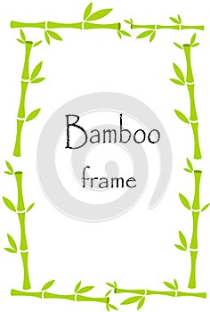 Bamboo border
