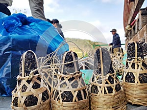 Bamboo box for 400 years tea area of Phongsali province, Laos