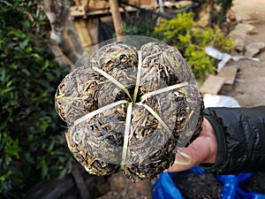 Bamboo box for 400 years tea area of Phongsali province, Laos