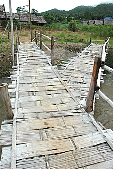 Bamboo Branch Bridge