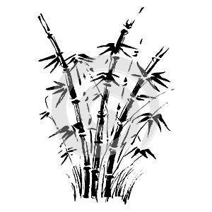 Bamboo branches isolated on the white background. Vector