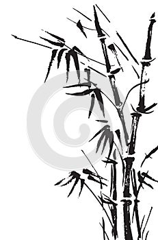 Bamboo branches isolated on the white background. Vector