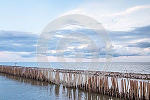 Bamboo Breakwaters for coastal protection,