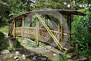 Bamboo bridge