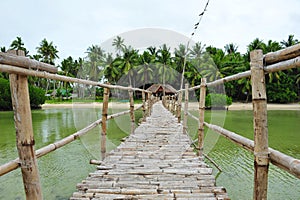 Bamboo bridge across mangrove swamp on Bantayan Island