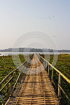 Bamboo bridge at chiang sane lake