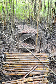 Bamboo bridge collapsed