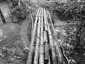 bamboo bridge that connects two yards