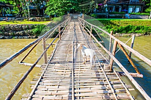 Bamboo bridge cross Pai river