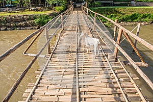 Bamboo bridge cross Pai river