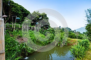 Bamboo bridge with mountain view in Pha Hi village
