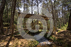 Bamboo bridge over river in Arvi park in Medellin Colombia