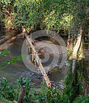 Bamboo bridge over river - Views between Mae Hong Son and Ban Rak Thai