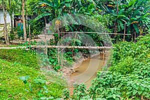Bamboo bridge in Ramnagar village near Srimangal, Banglade photo