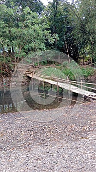 Bamboo bridge