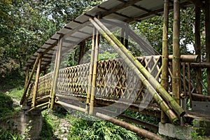 Bamboo bridge in Tierradentro photo