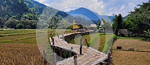 Bamboo bridge to temple