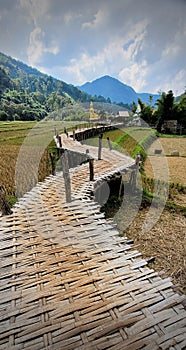 Bamboo bridge to temple