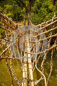 Bamboo bridge in Trikora