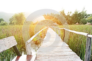 Bamboo bridge walkway on green field with burst sunrise light