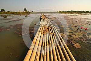 Bamboo bridge with waterlilly around