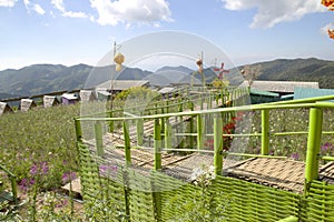 Bamboo bridges and accommodations in the mountains of northern Thailand