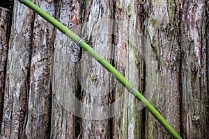 bamboo cane on rough wooden planks background