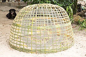 Bamboo chicken coop