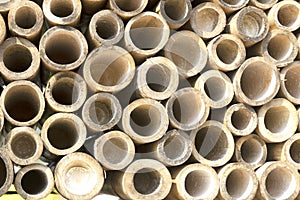 Bamboo circle cross section texture for background