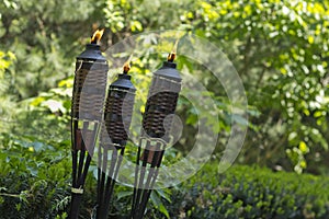 Bamboo Citronella Torch
