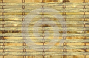 Bamboo close-up texture