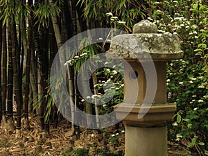 Bamboo and concrete bird house