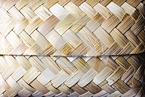 Bamboo container crafts