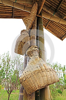 Bamboo container and hat