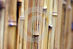 Bamboo crafts for room dividers and room backgrounds.