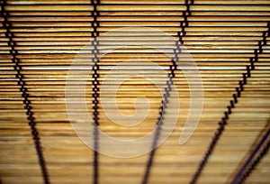 Bamboo curtain background
