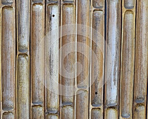 Bamboo cut wall with nail background