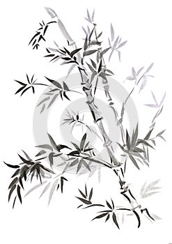 Bamboo, drawn in east style